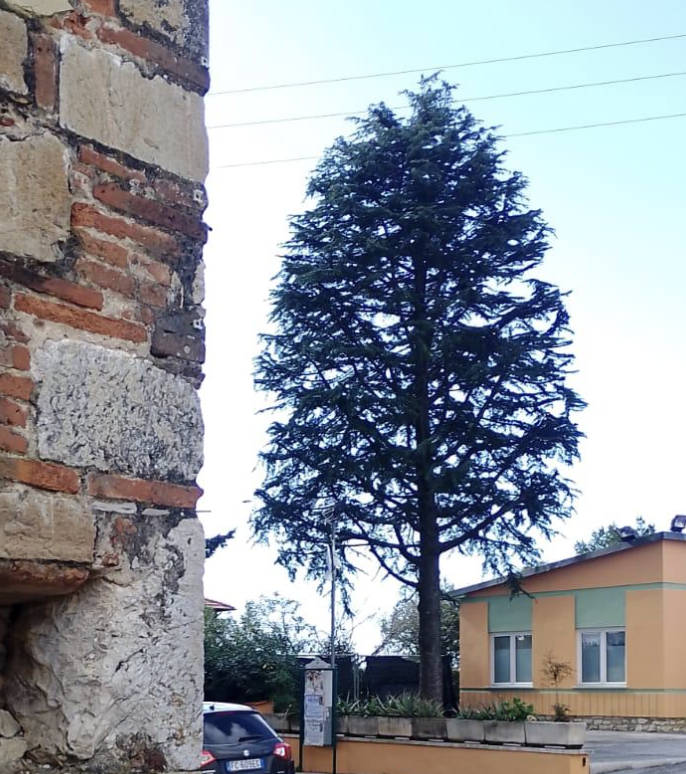 Dopo