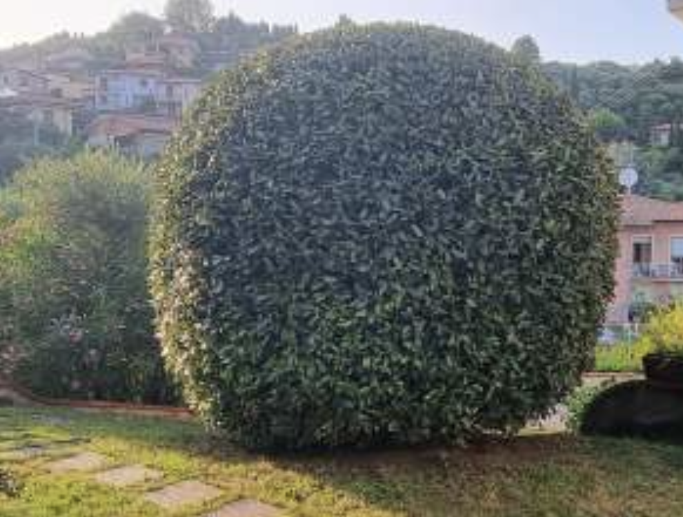 Dopo